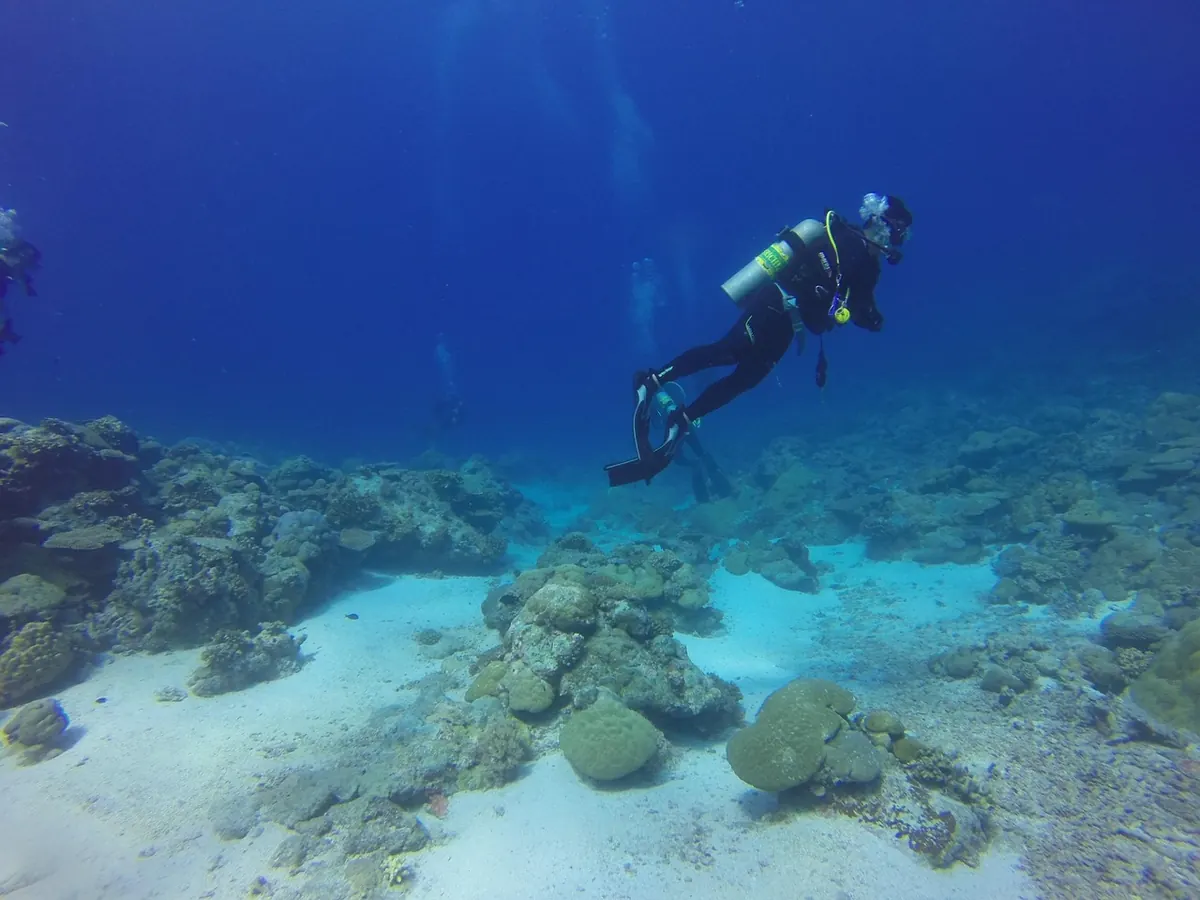 Booking a Coral Reef Dive: 10 Questions to Ask First